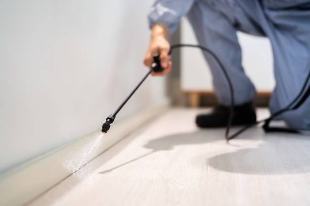 Licensed Termite Control service in Woodmere, LA - Nex Pest Control