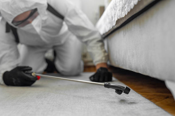 Professional Termite Control technician working in Woodmere, LA